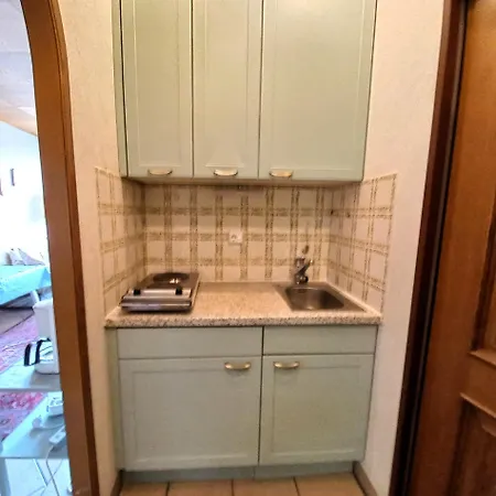 Apartamento Lena Haus Kmb Seeappartement Am Ossiacher Mit Direktem Seezugang Und Hallenbad